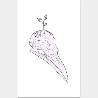 Bird skull Posters and Art